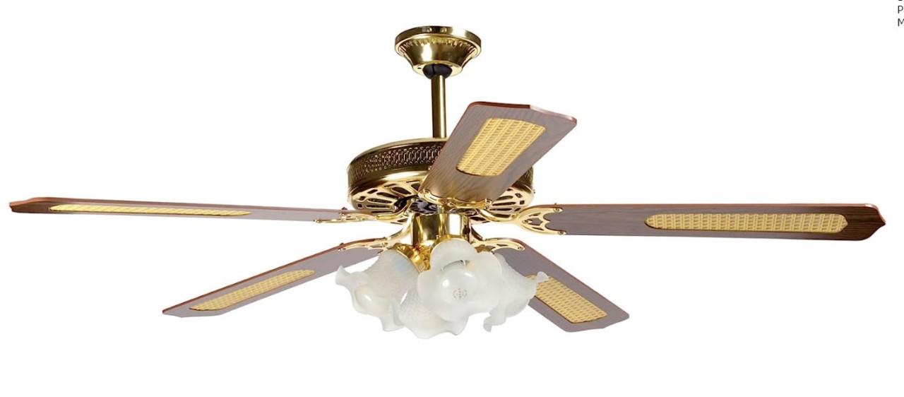 Utente Una Frase Posta Aerea Ventilatori Da Soffitto Vortice Offerte Amazon Infa - 6